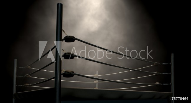 Bild på Classic Vintage Boxing Ring